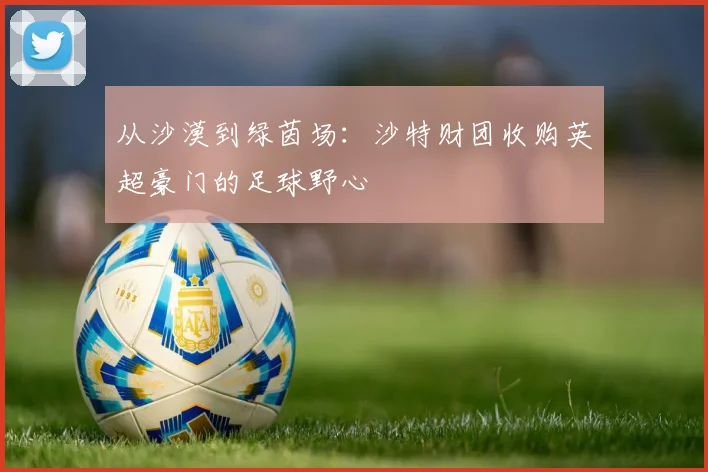 从沙漠到绿茵场：沙特财团收购英超豪门的足球野心